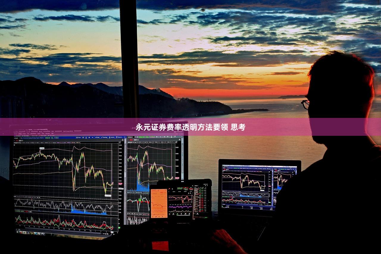 永元证券费率透明方法要领 思考
