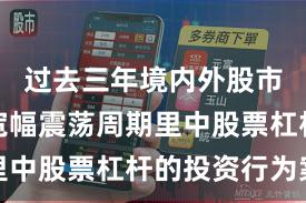 过去三年境内外股市在当前宽幅震荡周期里中股票杠杆的投资行为案